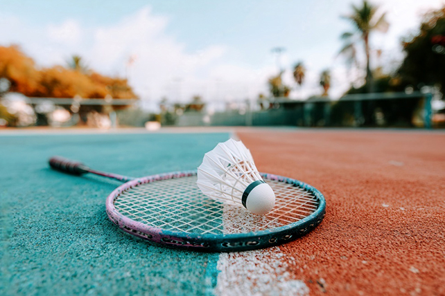 Badminton Court